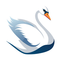 Swan bird isolated on white background