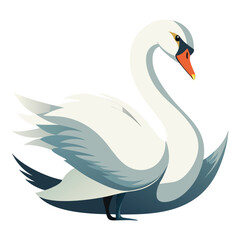 Swan bird isolated on white background