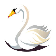 Swan bird isolated on white background