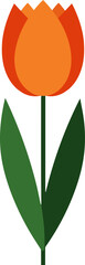 Vector illustration of a tulip flower