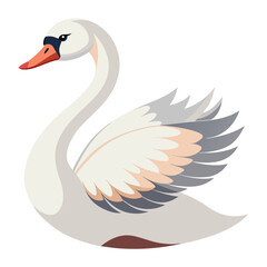 Swan bird isolated on white background