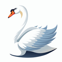 Swan bird isolated on white background