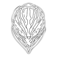Abstract Alien Creature Face Linear Art Illustration