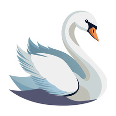 Swan bird isolated on white background