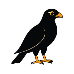 Black Bird of Prey