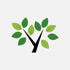 Young sprout with three leaves icon representing growth and sustainability