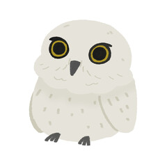 白いフクロウのかわいい手描きのカラーイラスト