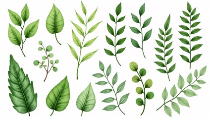 Watercolor Green Leaves and Branches Collection