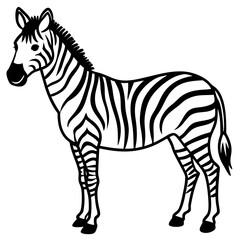 Obraz premium zebra vector illustration