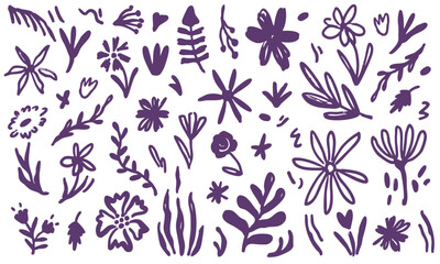 floral paintbrush doodle illustration set