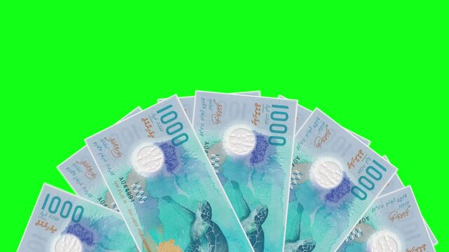 MVR Currency Notes Animation, Realistic Maldivian Money in Motion