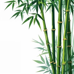 Bamboo Shoot vector art illustration on plain white background