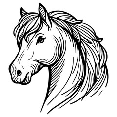 Horse Head Sketch Drawing.