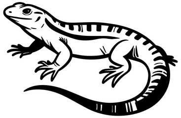 Lizard Sketch Drawing.