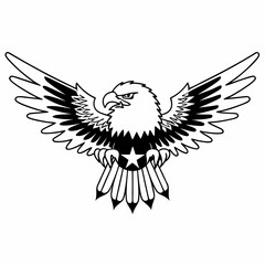 Obraz premium eagle with wings