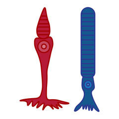 Cone cell and rod cell 