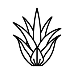 Aloe Plant with Central Blossom Icon Design