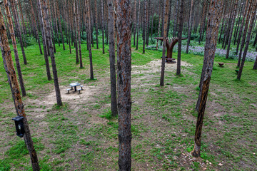 Small Forest Bathing Beach, Jingyuetan National Forest Park, Changchun, China