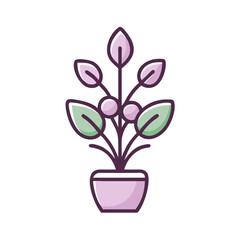 Indoor Plant with Rounded Leaves Icon Design