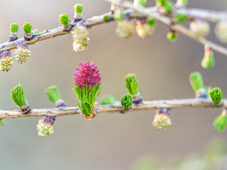 Colorful autumn forest with trees on the shore of a blue lake - top aerial view.