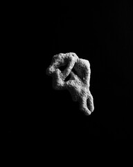Minimal, abstract, close up of sea coral in black and white on a black background