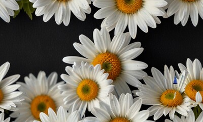 Nature Wallpaper Background