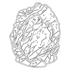 Outline illustration of a Savoy Cabbage isolated