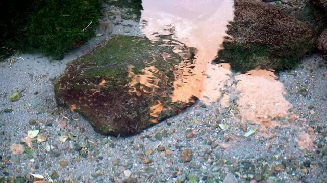 Jatiluwih, Tabanan, Bali- The subak irrigation system sustains Jatiluwih&rsquo;s terraced rice fields, preserving Bali&rsquo;s traditional farming and UNESCO heritage.