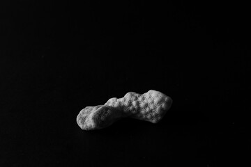 Minimal, abstract, close up of sea coral in black and white on a black background
