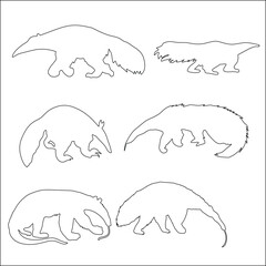 Anteaters are a diverse group of four species of toothless, insect-eating mammals known for their long, sticky tongues and powerful claws.