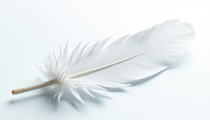 Obraz premium Icy white feathers on pristine white backdrop, snow, detail, pattern