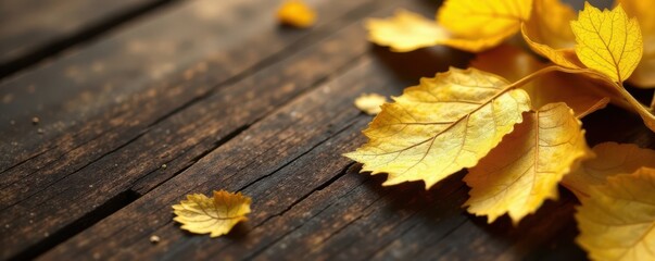 Dried yellow leaf gold foil effect on a wooden surface, autumn leaves, decoration