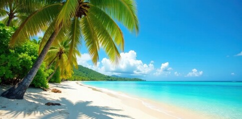 Palm tree-lined beach with sandy shore and turquoise ocean, beach scene, ocean