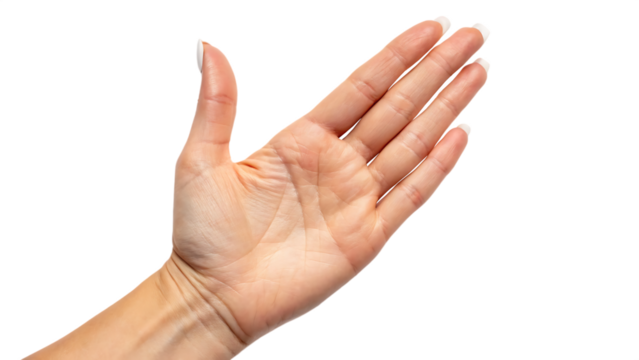 Open Human Hand Palm Facing Forward Isolated on White Background