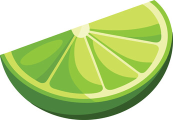  Lime slice isolated vector art work illustration