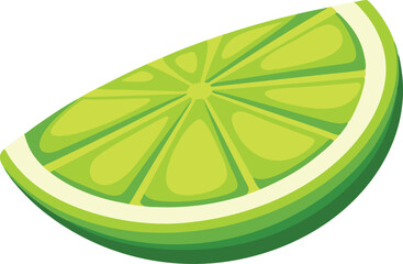  Lime slice isolated vector art work illustration
