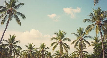 Fototapeta premium Palm Canopy Dreams AI Generated