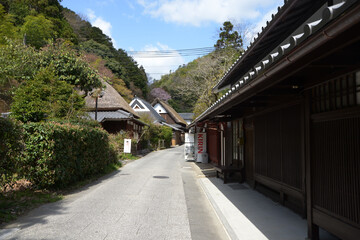 Obraz premium 春の嵯峨野 愛宕街道 京都市右京区嵯峨