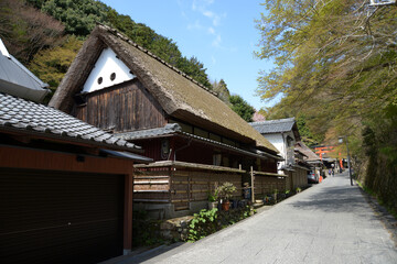 春の嵯峨野　茅葺屋根の民家　京都市右京区嵯峨