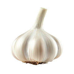 Fresh garlic bulb isolated on a transparent background showcasing its natural texture and shape, garlic isolated on transparent background