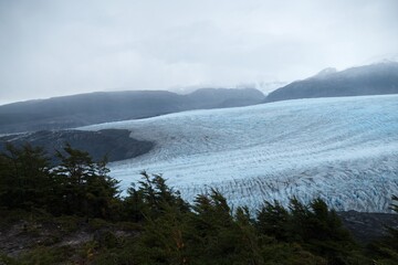 amazing patagonia nature in summer
