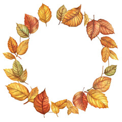 A vibrant round frame of autumnal leaves showcasing natures beauty during the fall season, round autumnal leaves frame isolated