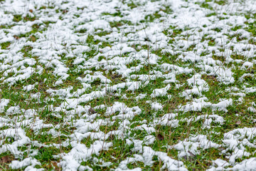 Patchy Snow on Green Grass in Winter