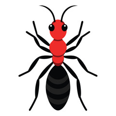 Ant vector icon isolated on white background
