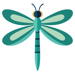 Dragonfly vector icon isolated on white background