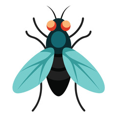 Fly vector icon isolated on white background