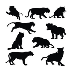 Tiger Silhouettes Collection: A set of ten unique tiger silhouettes showcasing a variety of dynamic poses, perfect for logo design, branding.