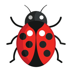 Ladybird vector icon isolated on white background