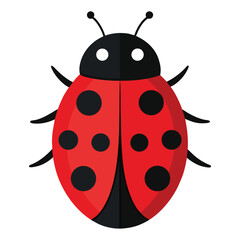 Ladybird vector icon isolated on white background