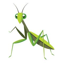 Mantis vector icon isolated on white background